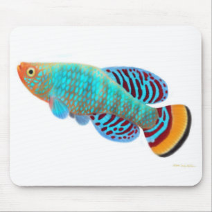 Killifish Mousepad de Nothobranchius Rachovii