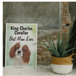 King Charles Cavalier Melhor Poster da Mãe