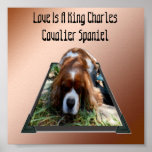 King Charles Cavalier Spaniel, Pop Out Art Poster<br><div class="desc">Foto de um design de arte pop-out,  o rei Charles Cavalier Spaniel,  com as palavras amor é um Cavalier Spaniel</div>