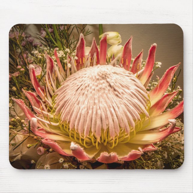 King Protea mousepad (Frente)