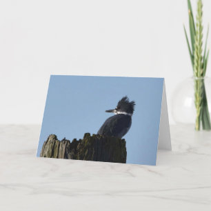 Kingfisher - Cartão de Arte Quadro