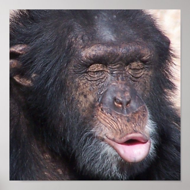 Kiss Me Poster (Frente)