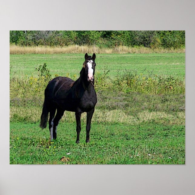 Kisses Poster (Frente)