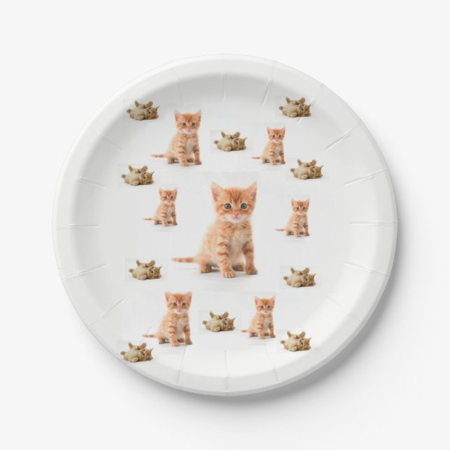 Kit de Pratos de Papel Gatinho (Frente)