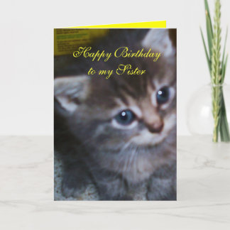 KITTEN, CARTÃO DE ANIVERSÁRIO DA IRMÃ