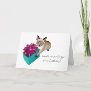 Kitten com o presente cartão de aniversário