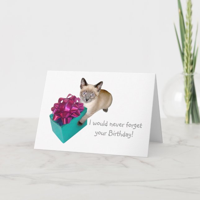 Kitten com o presente cartão de aniversário (Frente)