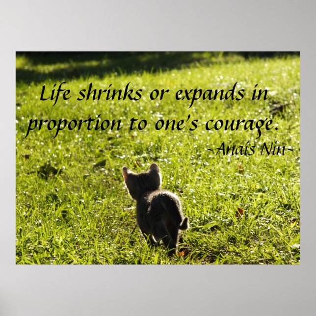 Kitten Courage Poster (Frente)