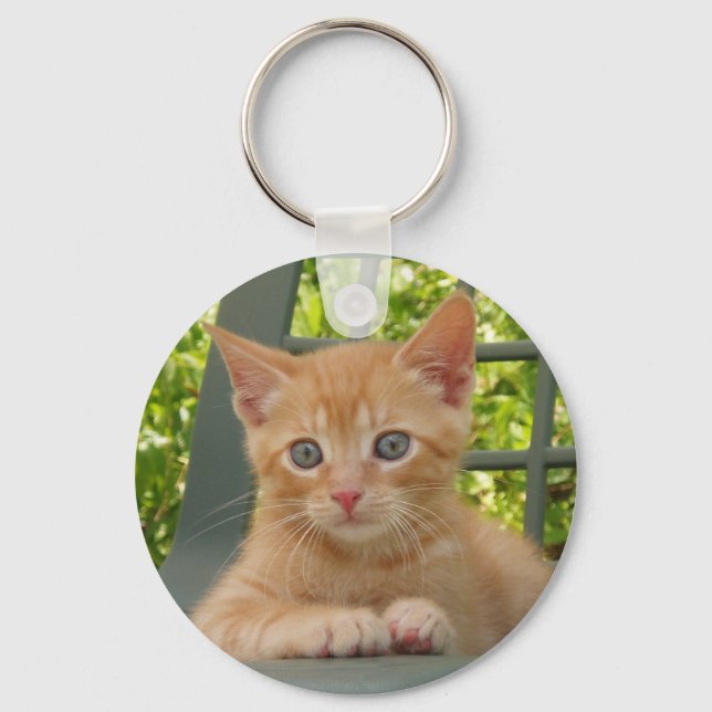 Kitten Dax Chaveiro (Frente)