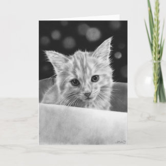 Kitten em uma caixa Cartão de saudação