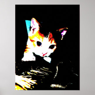 Kitten Impressão