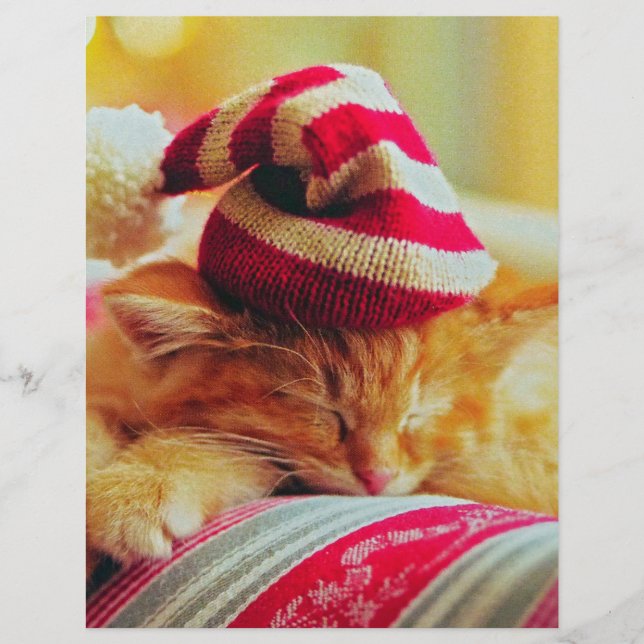 Kitten Natal (Frente)