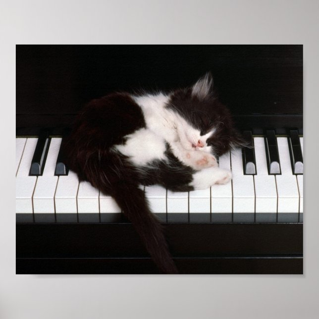 Kitten Poster (Frente)