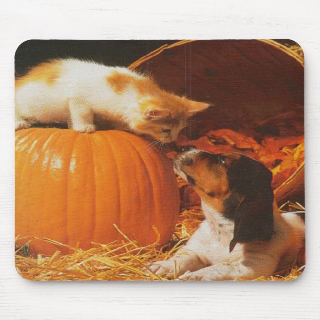 Kitten, Pumpkin e Puppy Mousepad (Frente)