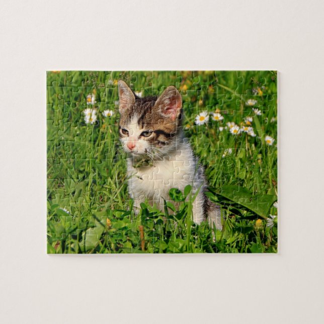 Kitten Quebra-cabeça (Horizontal)