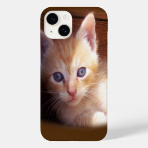 Kitten, telefono 14 capas de telefone
