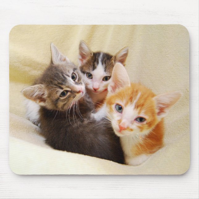Kitten Trio Mousepad (Frente)