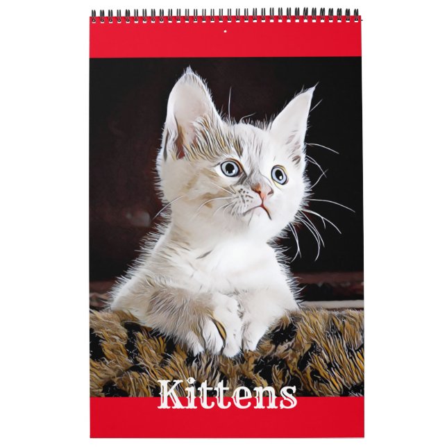 KITTENS BOVINOS - Calendário (Capa)