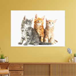Kittens Canvas Imprimir Imagem 12