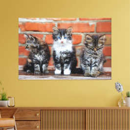 Kittens Canvas Imprimir Imagem 4