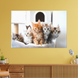 Kittens Canvas Imprimir Imagem 9