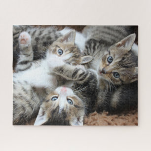 Kittens Jigsera Quebra-cabeça
