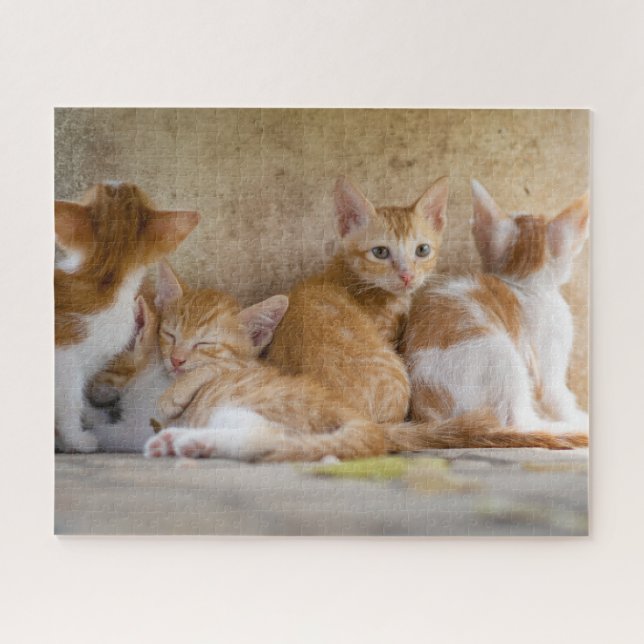 Kittens Jigsera Quebra-cabeça (Horizontal)