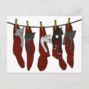 Kittens Natal Cartão postal Chatons de Nöel