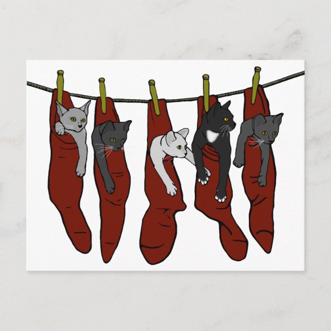 Kittens Natal | Cartão postal Chatons de Nöel (Frente)