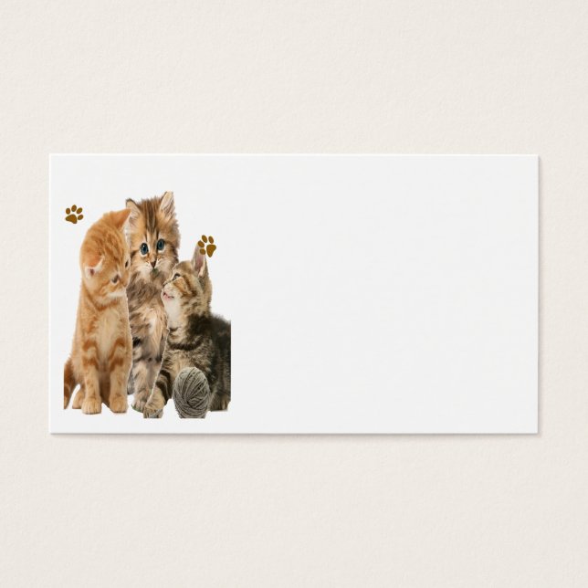 Kittens nos produtos de jogo (Frente)