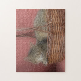 Kitty Cat Quebra-cabeça