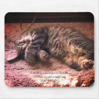 Kitty Cat Salmo 4:8 Mousepad