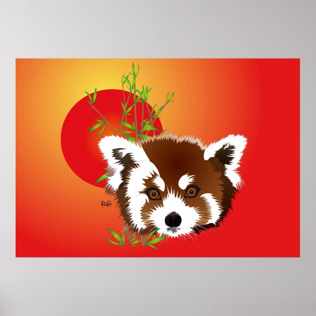 Kleiner Panda (Ailurus fulgens) Poster (Frente)