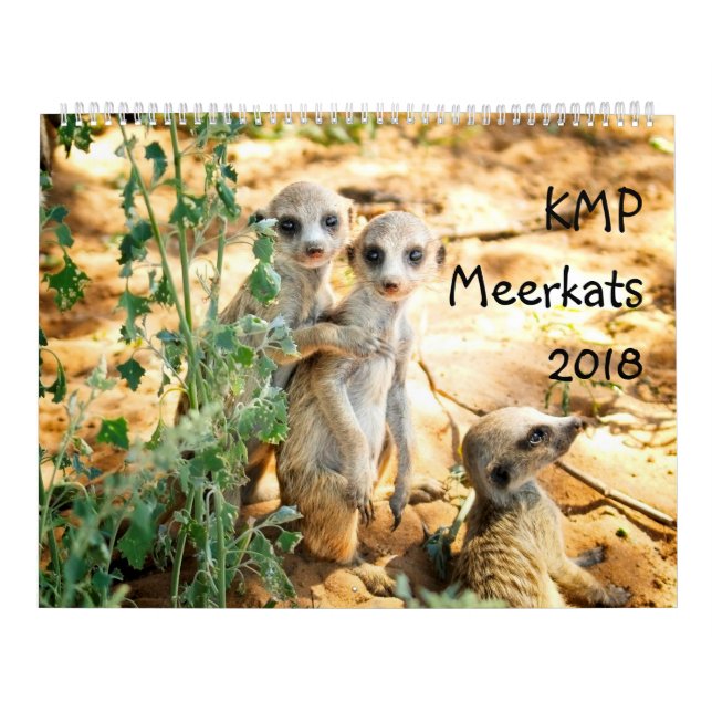 KMP Meerkats - calendário 2018 (Capa)