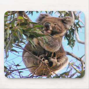 Koala Austrália Mousepad