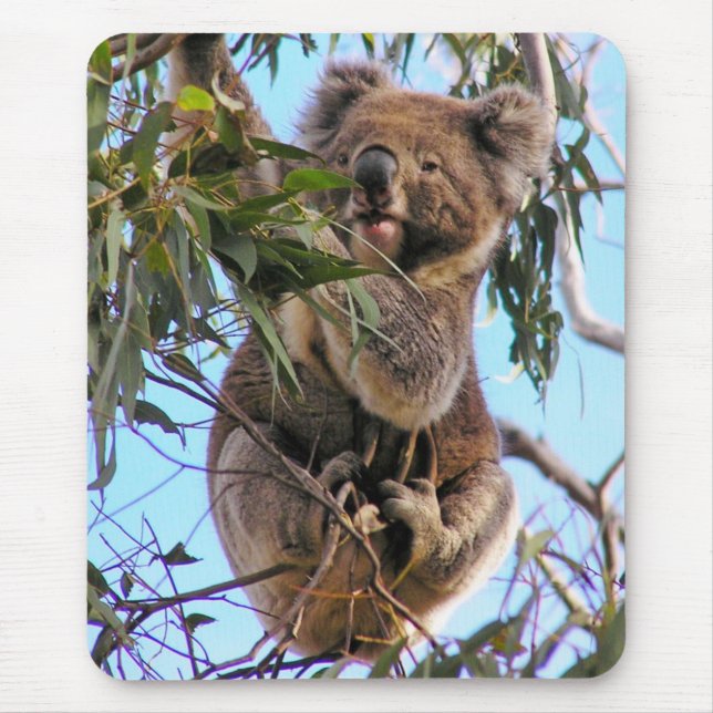 Koala Austrália Mousepad (Frente)
