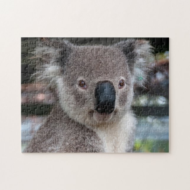 Koala Close-Up, Quebra-cabeça de quebra-cabeça (Horizontal)