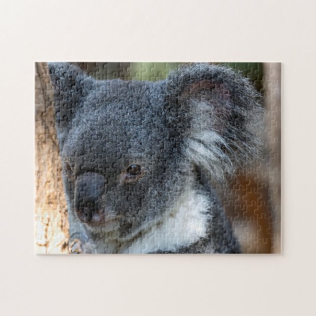 Koala Close-Up, Quebra-cabeça de quebra-cabeça (Horizontal)