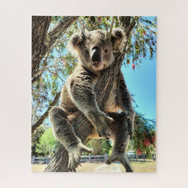 Koala Quebra-cabeça (Vertical)