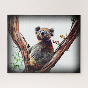 Koala Tree Quebra-cabeça