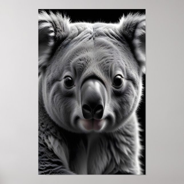 Koala Wildlife Majinternal Nature Forest Poster (Frente)