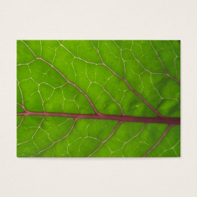 Kohlrabi Leaf ~ ATC (Frente)