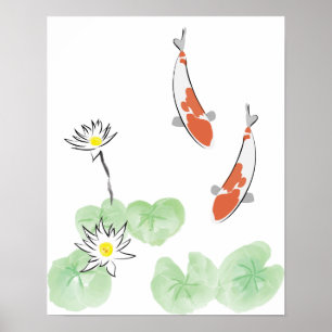 Koi Pond - Poster de fundo branco