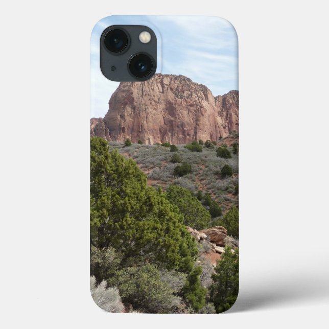 Kolob Canyons no Zion National Park (Verso)