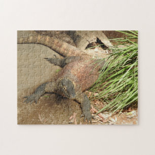 Komodo Dragon Quebra-cabeça