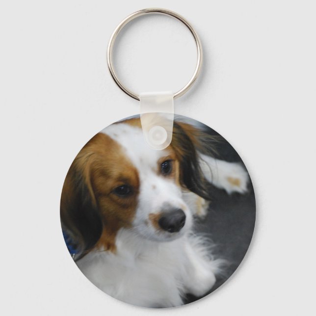 Kooikerhondje Dog Chaveiro (Frente)