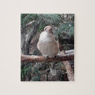 Kookaburra Quebra-cabeça