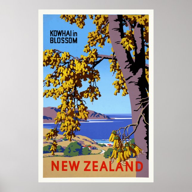 Kowhai no Poster vintage Blossom na Nova Zelândia (Frente)