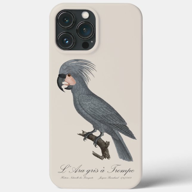 L’Ara gris à Trompe / Cinza Palm Cockatoo (Verso)