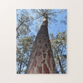 La Gerche Ponderosa Pine Jigsee Quebra-cabeça